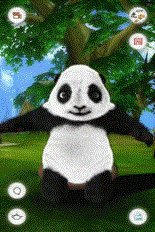 download Crouching Panda apk